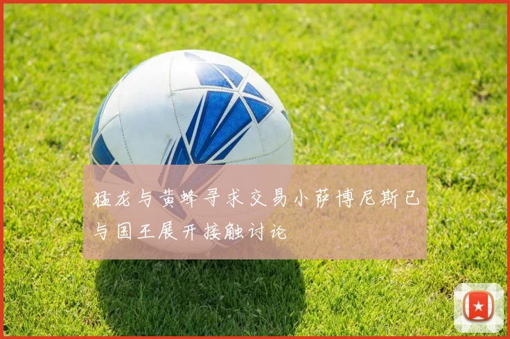 猛龙与黄蜂寻求交易小萨博尼斯已与国王展开接触讨论
