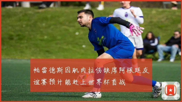帕雷德斯因肌肉拉伤缺席阿根廷友谊赛预计能赶上世界杯首战