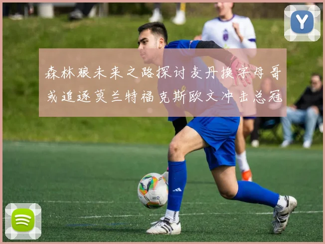 森林狼未来之路探讨麦丹换字母哥或追逐莫兰特福克斯欧文冲击总冠军