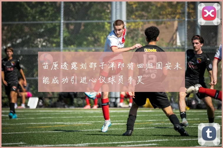 苗原透露刘邵子洋即将回归国安未能成功引进心仪球员李昊