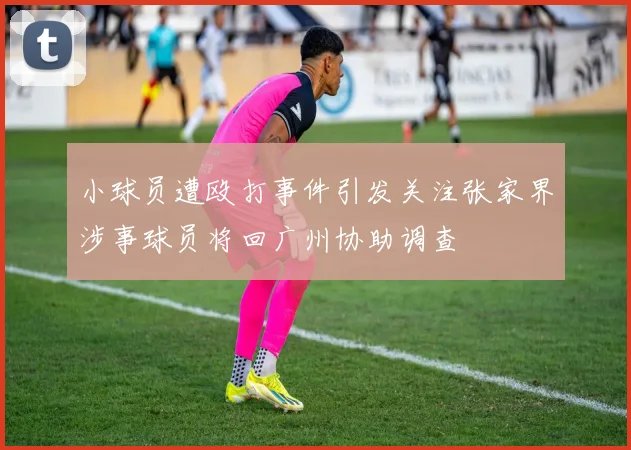 小球员遭殴打事件引发关注张家界涉事球员将回广州协助调查