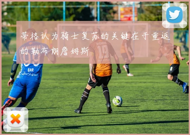 蒂格认为骑士复苏的关键在于重返的勒布朗詹姆斯